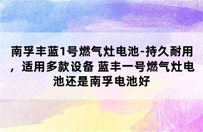 南孚丰蓝1号燃气灶电池-持久耐用，适用多款设备 蓝丰一号燃气灶电池还是南孚电池好